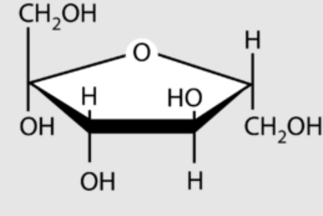 <p>An example of a monosaccharide with the chemical formula C6H12O6 and a pentagon ring structure. It is found in fruits.</p>