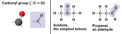 <p>Carbonyl group within the carbon skeleton; internal carbonyl compound.</p>
