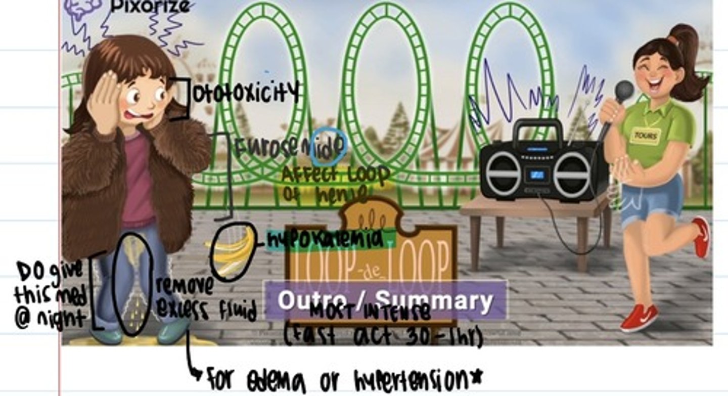 <p>Block the chloride pump in the ascending loop of henle (decrease reabsorption of sodium and chloride) </p><p>Indication: pulmonary edema in HF, treats renal, cardiac, and hepatic edema, treats htn </p><p>Adverse Effects: * electrolyte depletion (hyponatremia, hypochloremia, hypokalemia, ototoxicity, hyperglycemia, increase uric acid, kidney toxic </p><p>Pt education/ intervention: report all sym, eat more potassium, monitor weight and intervention monitor Bun and creatinine, monitor for dysthymia caused by hypokalemia </p><p>Give med in morning to avoid nocturia (none past 2pm) </p><p>- Oral, IV, IM </p>