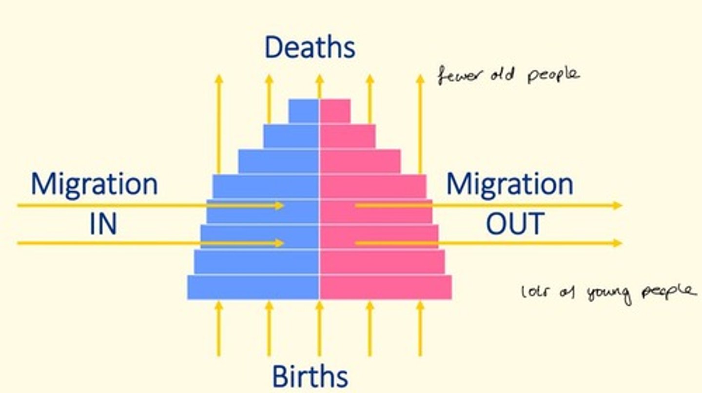 <p>Population structure pyramid</p>