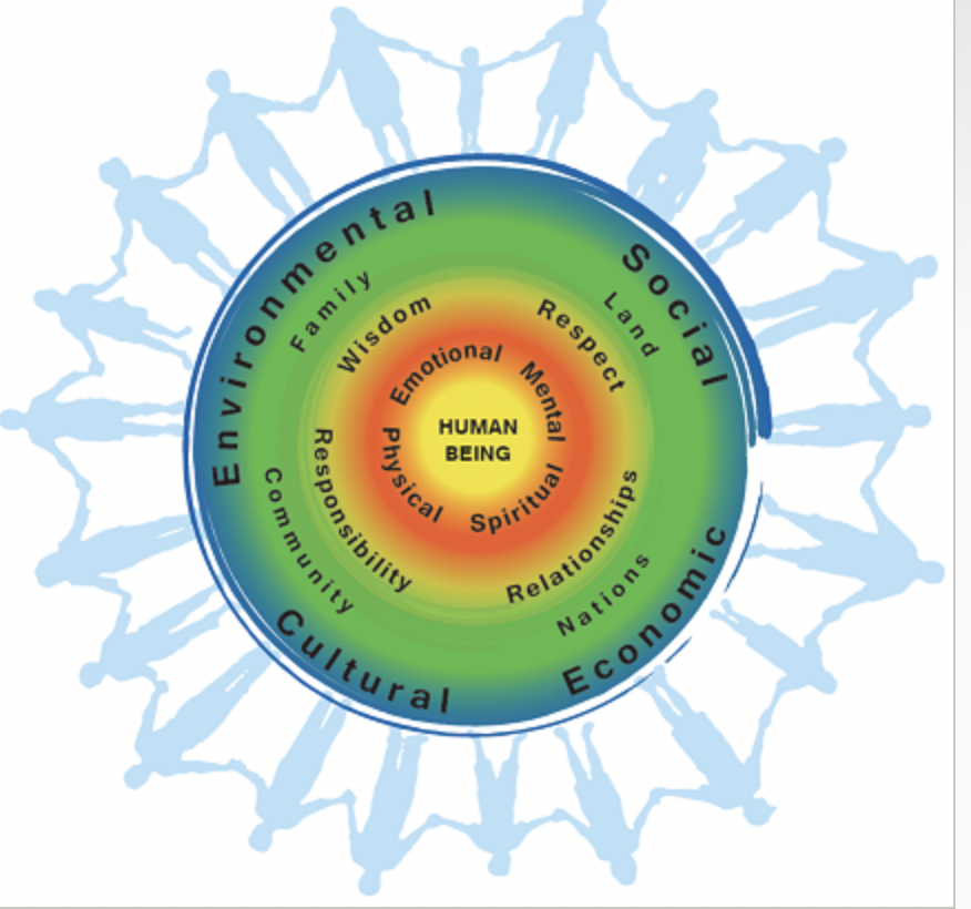 as you examine the history and evolution of nursing think about the contributions of indigenous people and how nursing is shaped by indigenous knowledge and how this knowledge can help reform the systems we live in including the healthcare system. 

(circle model)