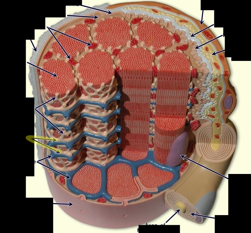 <p>What  part is this?*****</p>