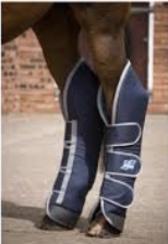 <p>what piece of tack does this image show?</p>