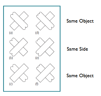 <p>people focus their attention on particular objects instead of regions in space</p><p>Behrmann et al (1998) photo</p><p>Chen &amp; Cave (2008): effect found in the Behrmann study disappears with brief stimulus presentations (0.12s)</p><p>(inhibition of return)</p>