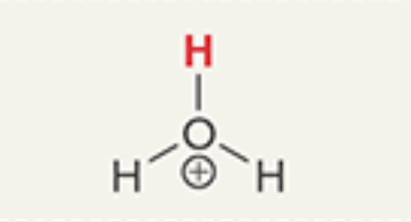 <p>Hydronium</p>