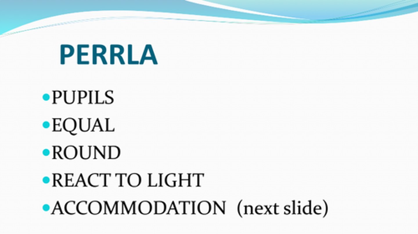 <p>pupils equal round reactive to light and accommodation</p>