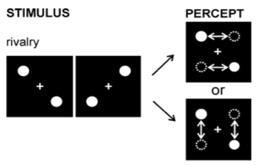 <p>two <u>unrelated</u> stimuli are presented at the same time to different sensory receptors, which would never naturally be present together</p><p>visual ex. → two different images presented to two eyes</p><p>smell ex. → two different odor compounds presented to two nostrils</p><p>hearing ex. → two tones of different pitch are presented to two ears</p>