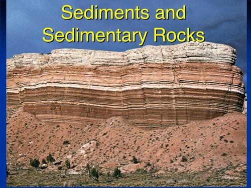 Rock that forms when sediments such as carbonates and dead organisms are squashed together over time