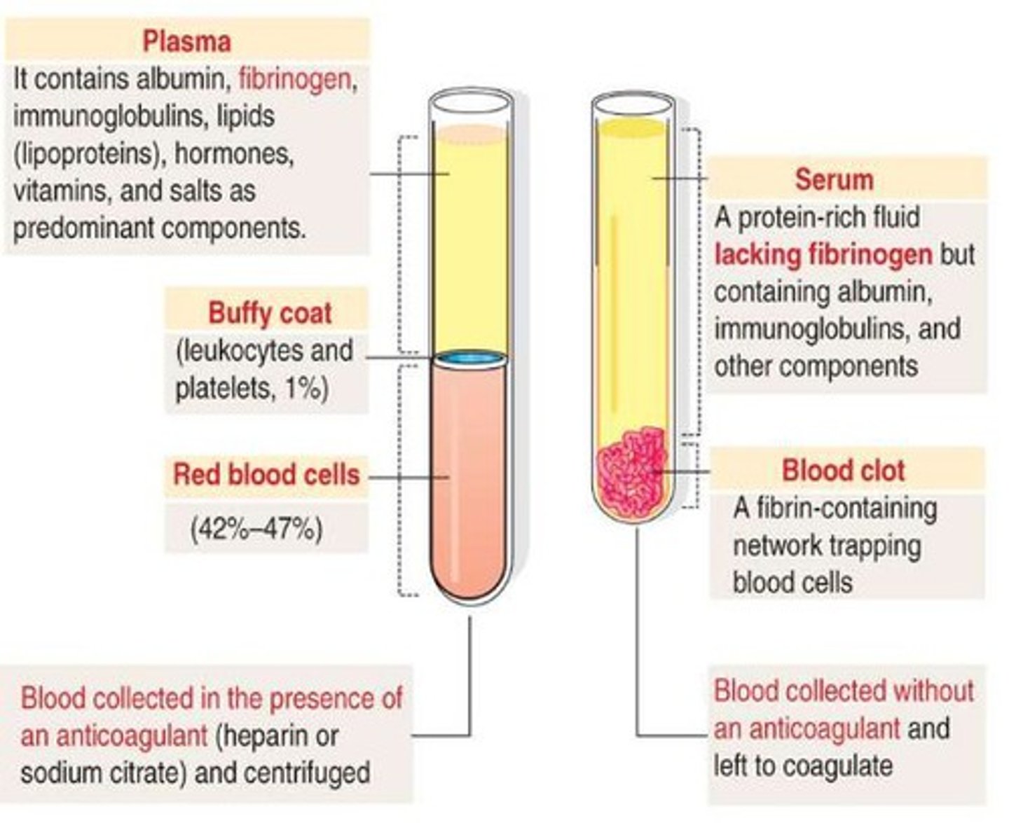 <p>Blood plasma without fibrin and blood clotting factors</p>