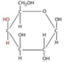 <p>What is the name of this monosaccharide shown?</p>
