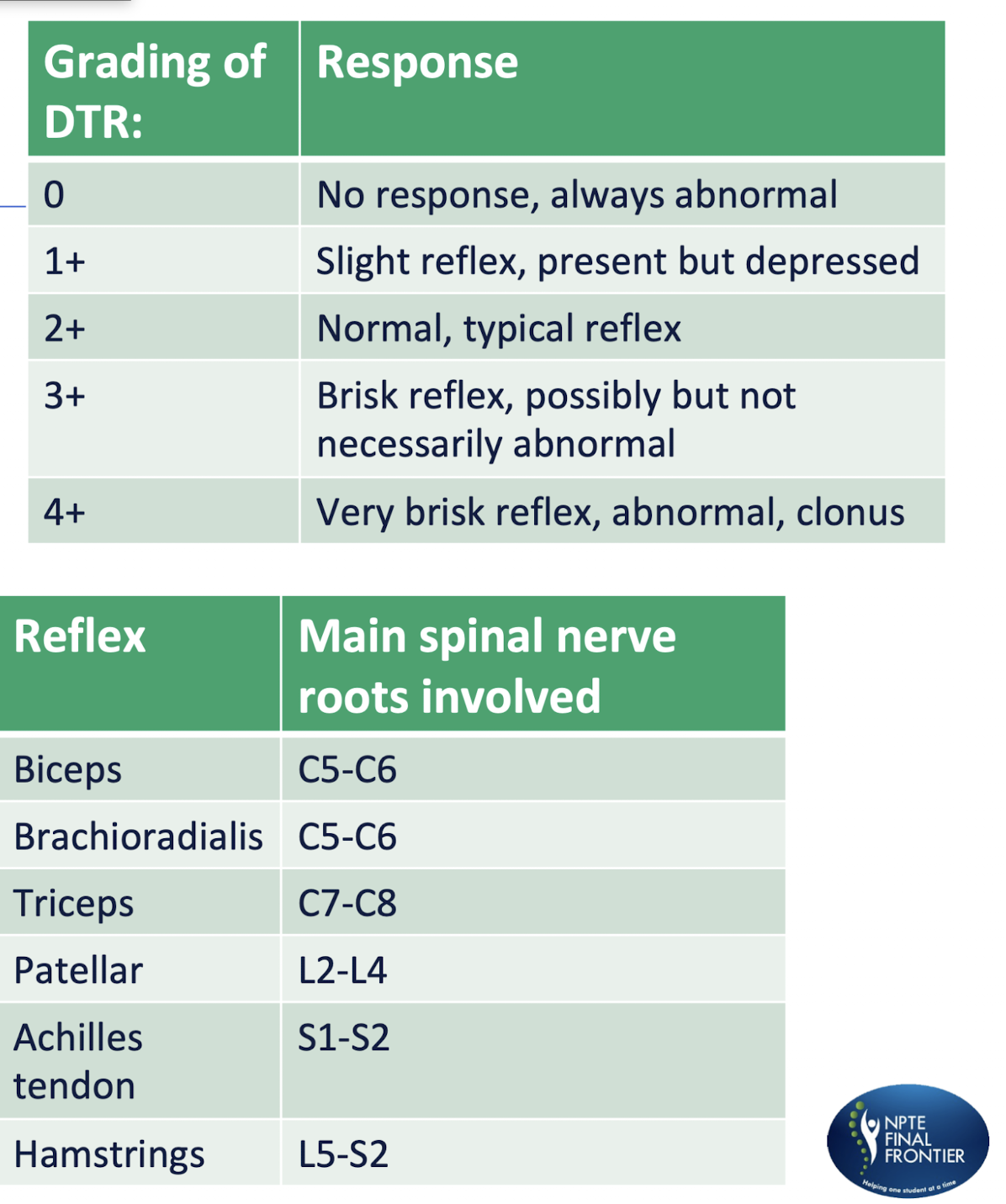 <p>DTR Grading</p><p></p><p>Reflex</p>