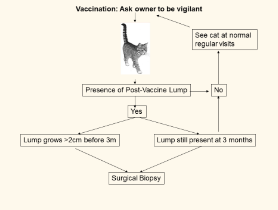<p>flowchart to FISS</p>
