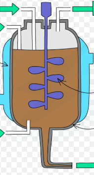 <p>Biotechnology</p>