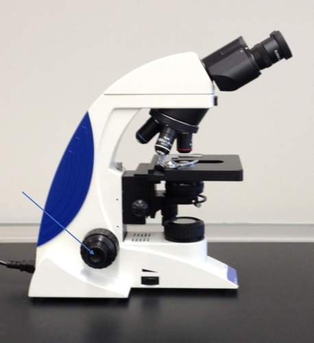 Identify the part of the microscope