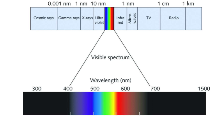 <ul><li><p>Overview of light wavelengths and how they correspond to different types of light, including:</p><ul><li><p>Cosmic rays, X-rays, ultraviolet, infrared, and visible spectrum.</p></li></ul></li></ul><p></p><p></p>
