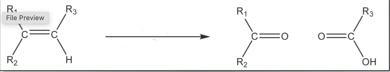 <p>Cleavage of a C=C double bond </p>
