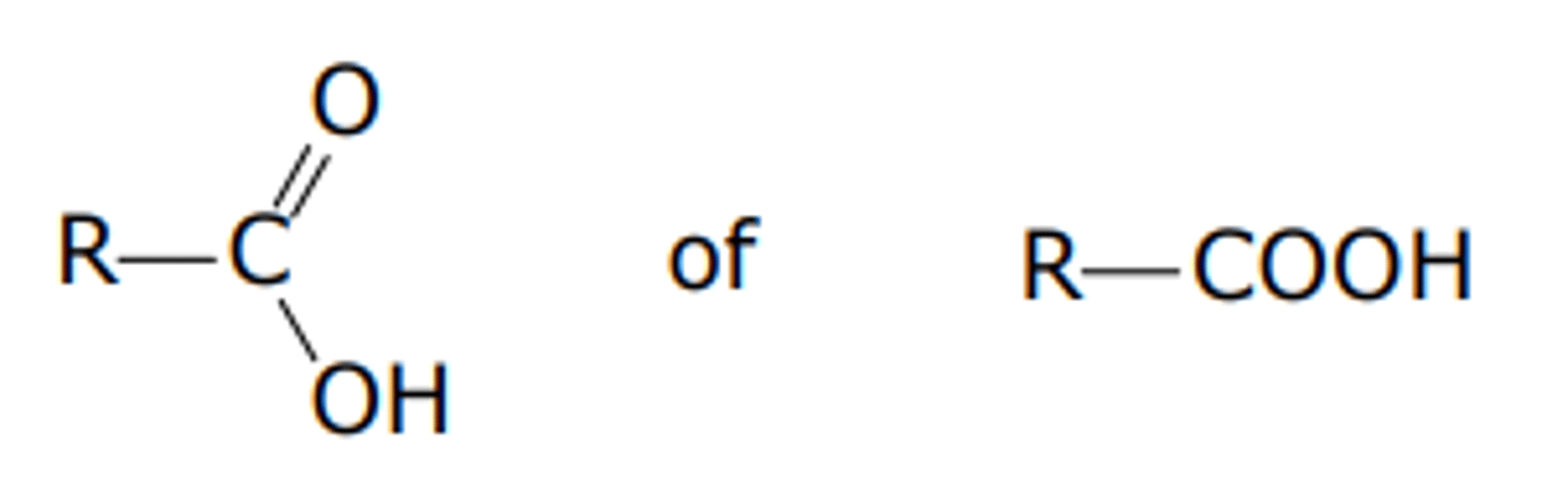 <p>polair hydrofiel</p><p>zuur</p><p>kan H+ afstaan en anionen vormen</p>