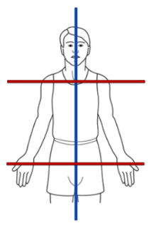 <ul><li><p>the sagittal plane</p></li><li><p>flexion/extension, hyperextension, PITCH</p></li></ul><p></p>