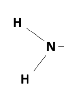 <p>Functional Group (NH2) </p>