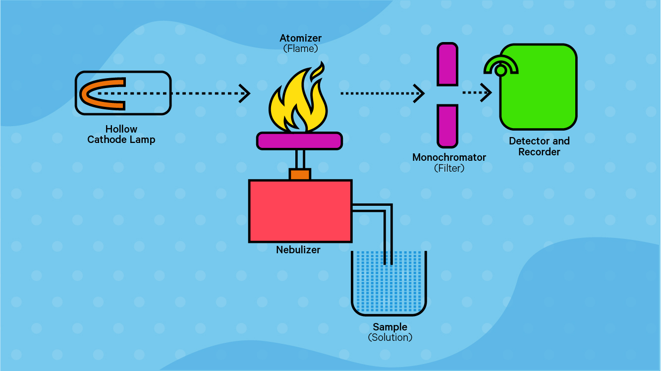<p>1.Nebuliser converts sample solution into fine mist so that is it quickly heated and vaporised by the flame</p><p>2.Flame vaporises sample and breaks apart most molecules into individual atoms</p><p>3.Hollow Cathode lamp: produces wavelengths of light which correspond to the emission spectrum of metal - detect only metal being analysed</p><p>4.Monochromator isolates a single wavelength of light to analysed to reduce interference</p><p>5.detector measures intensity of light absorbed by sample - determines concentration of metal being analysed</p>