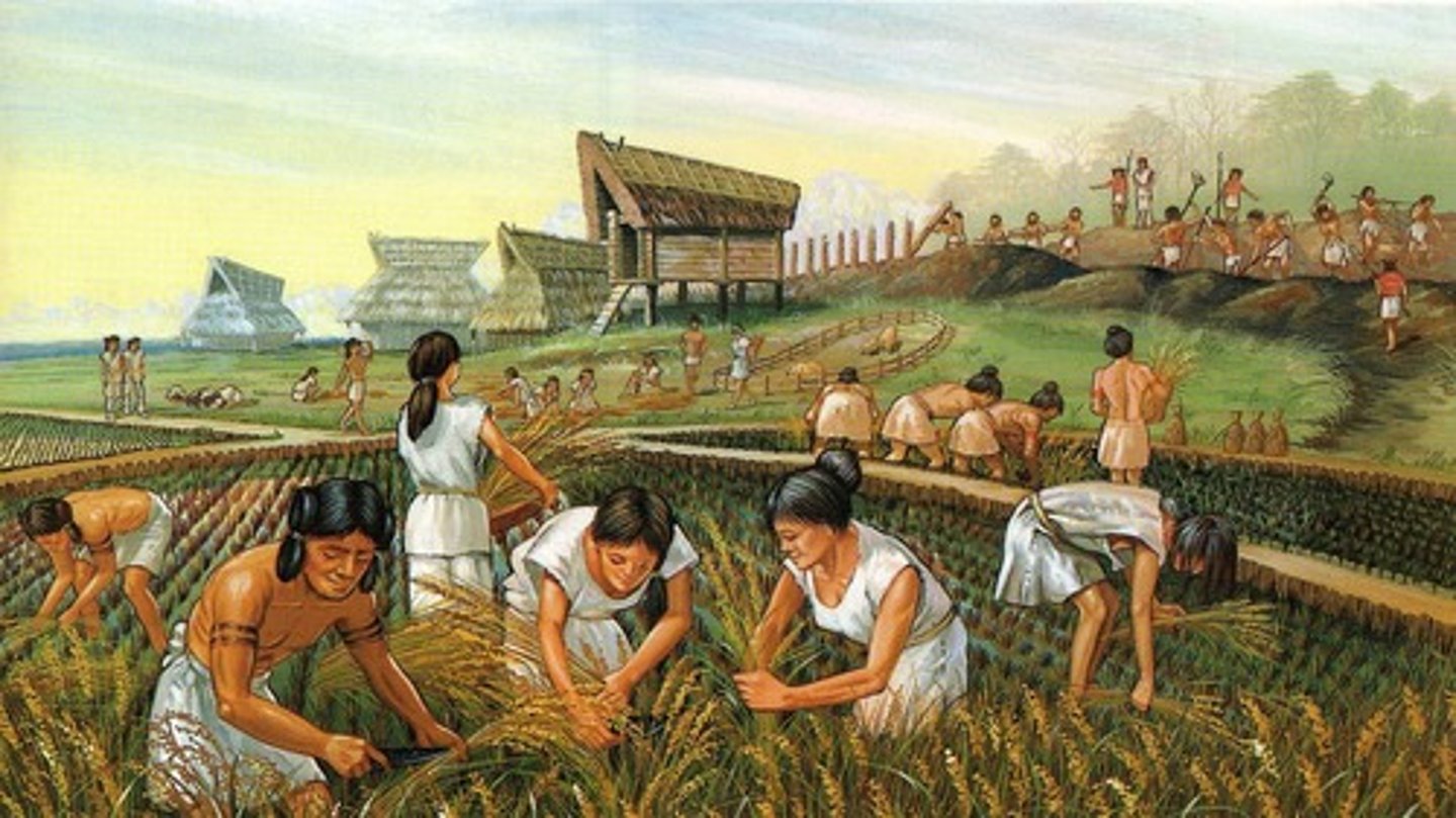 <p>Traditional Society - Where the country is based on the primary industry like fishing, agriculture and forestry. Involves very little trade.</p>