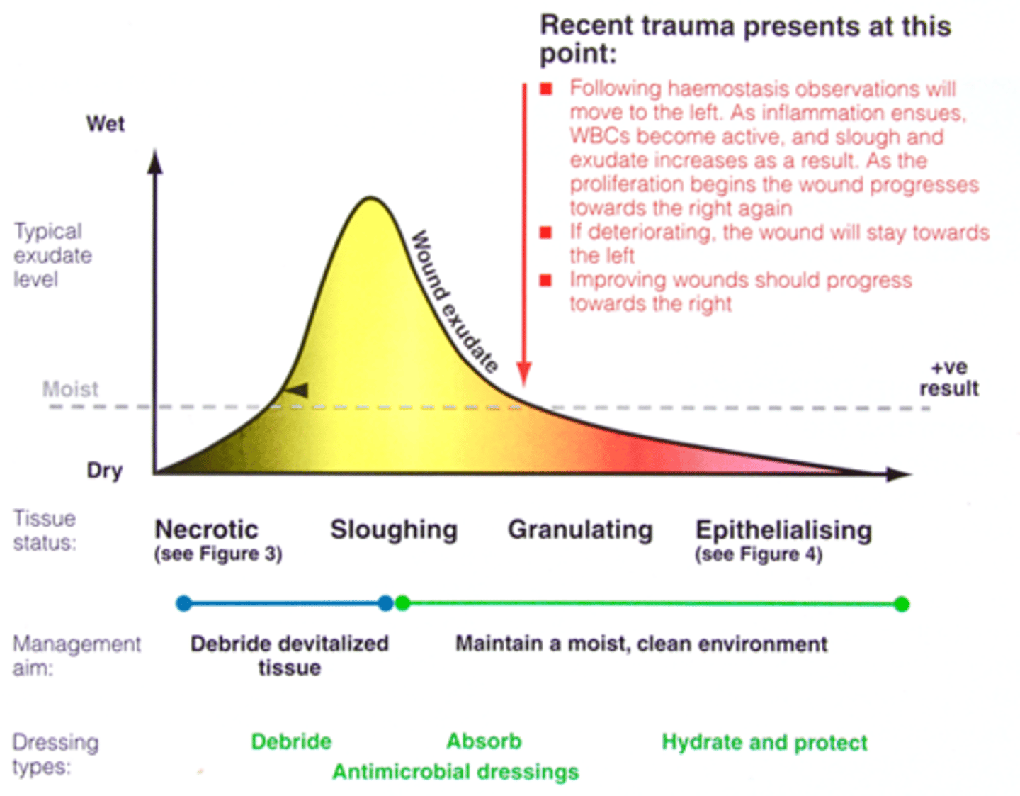 <p>dry out as overly wet</p>