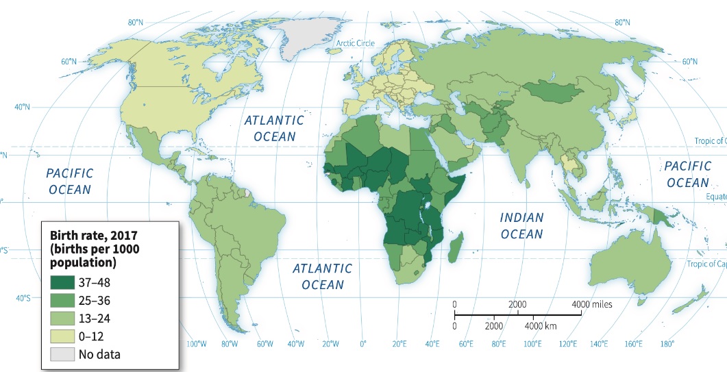 <p>Measure of the total number of live births in a year per 1,000 people in a population</p><ul><li><p>MDCs (Core) have lower CBR; LDCs (Periphery) have higher CBR</p></li></ul><p></p>