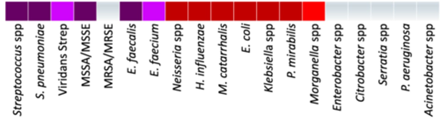 <p>• Anaerobes: +/+ (oral anaerobes/gut anaerobes)</p><p>• Miscellaneous: </p><p>- Similar. to ampicillin (M. listeria + H. Pylori)</p><p>- Sulbactam for Acinetobacter</p><p>• Coverage - Looks like Ampicillin, but now H. influenzae, , E. coli and P. mirabiis has full coverage + MSSA/MSSE, M. catarrhaslis, Klebsiella spp was added and there is now with P. mirabilis with light coverage + works on gut anaerobes</p>