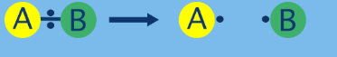 <p><span>bond breaks evenly and each bonded atom gets one electron, forming </span><strong>free-radicals</strong><span>.</span><br></p>