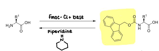 <p>It is stable to acid.</p>