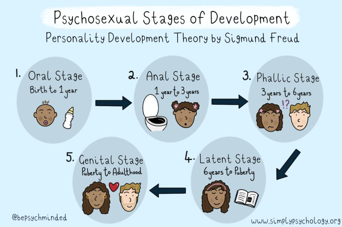 <p>Psychoanalytic theory → Freud</p><p>___________ - <strong>Two stages during this period: anal stage (1-3 years) and phallic stage (3-6 years)</strong></p><ul><li><p><strong>Anal stage</strong> = toilet training</p></li><li><p><strong>Phallic stage</strong> = foundation for gender and moral development by identifying with same-sex parent</p></li></ul><p>Early childhood = time when young children 1) gain control of bodily functions; 2) renegotiate relationship with parents in preparation for entering peer relationships</p><p></p>