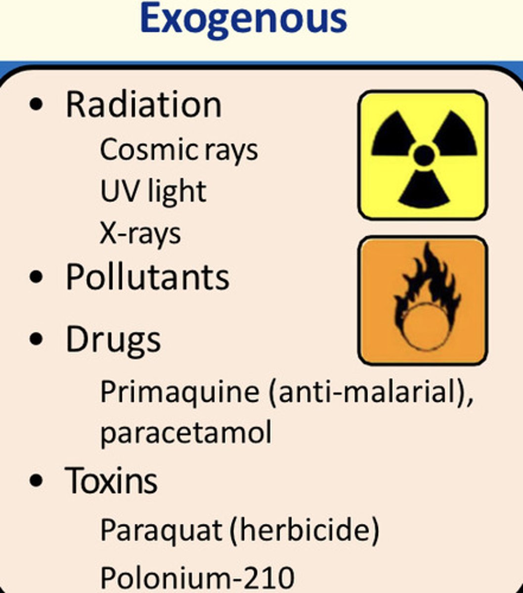 <p>Radiation (cosmic rays, x-rays, UV light), pollutants, drugs (primaquine, paracetamol), toxins (paraquat herbicide, polonium-210)</p>
