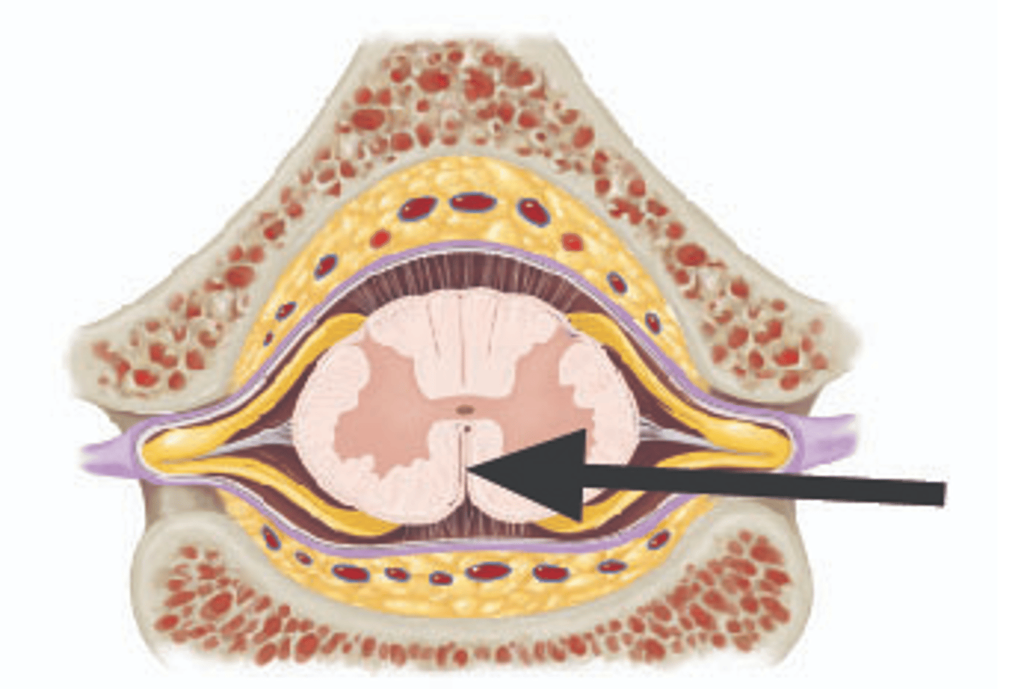 <p>Identify structure.</p>