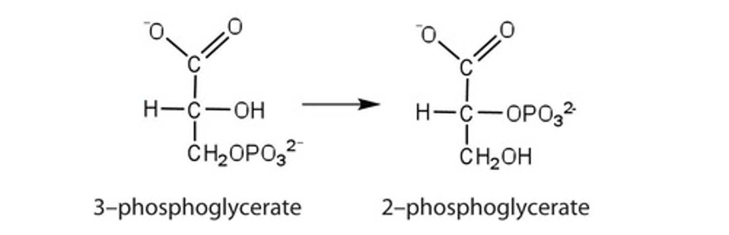 <p>Between pH 6 and 8, although some enzymes like pepsin have optimum pH values outside this range.</p>