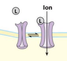 <p>Channel opens or closes in response to concentration in reponse to signal ligand or membrane potential </p>