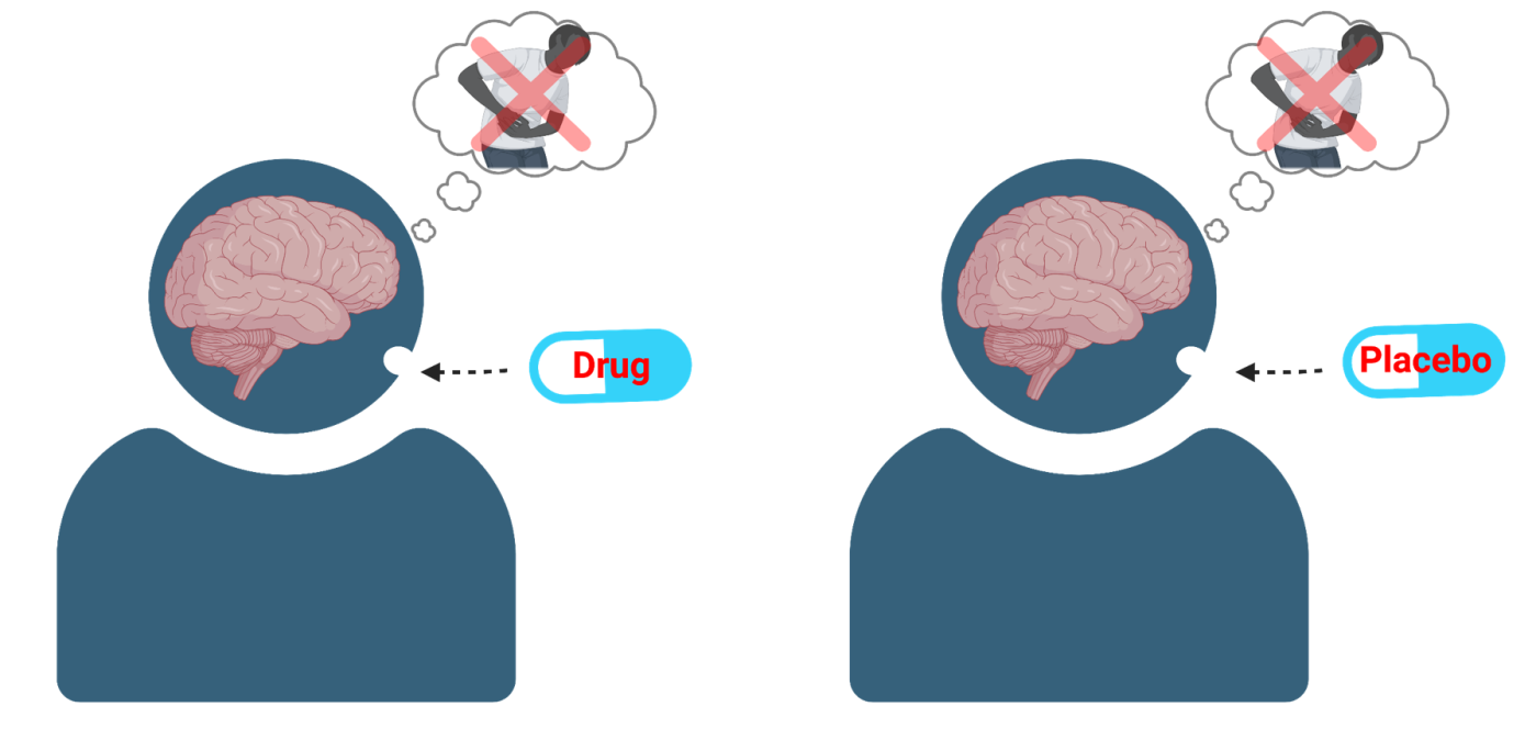 <p>Placebo Effect </p>