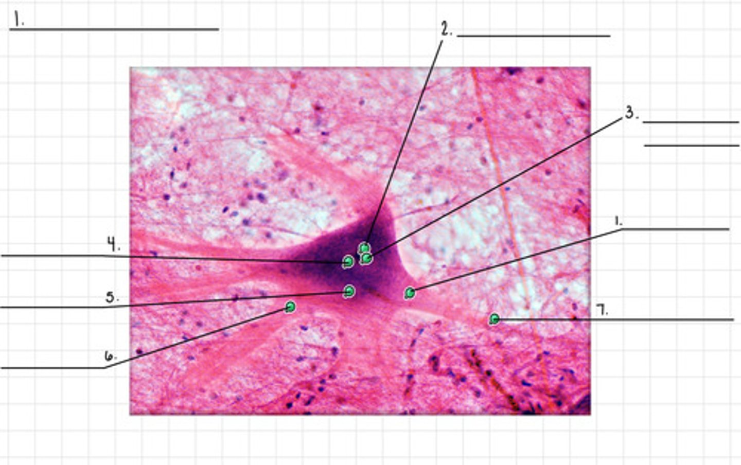 <p>1</p>