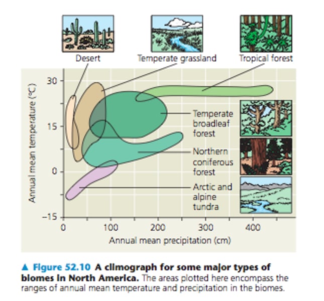 <p>diagram that shows combination of monthly avg. temperature and rainfall at specific location; used to identify seasonal patterns/changes<br>- Deserts: high temps but low precipitation<br>- Rainforests: high temps + high precipitation<br>- Taigas: low temps + low precipitation<br>- Robert Whittaker developed climographs to classify 9 distinct biomes.</p>