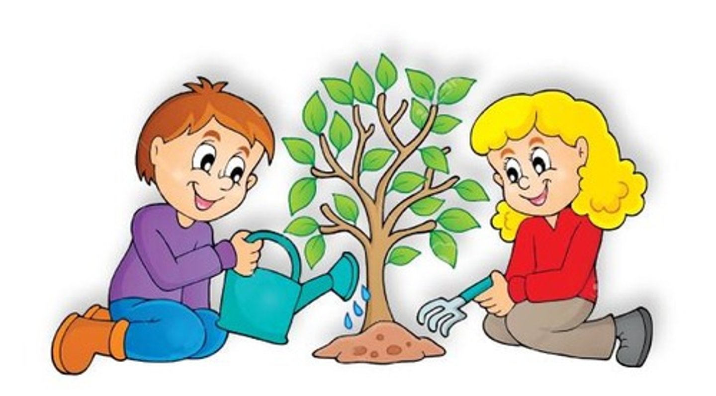 <p>to plant trees</p>