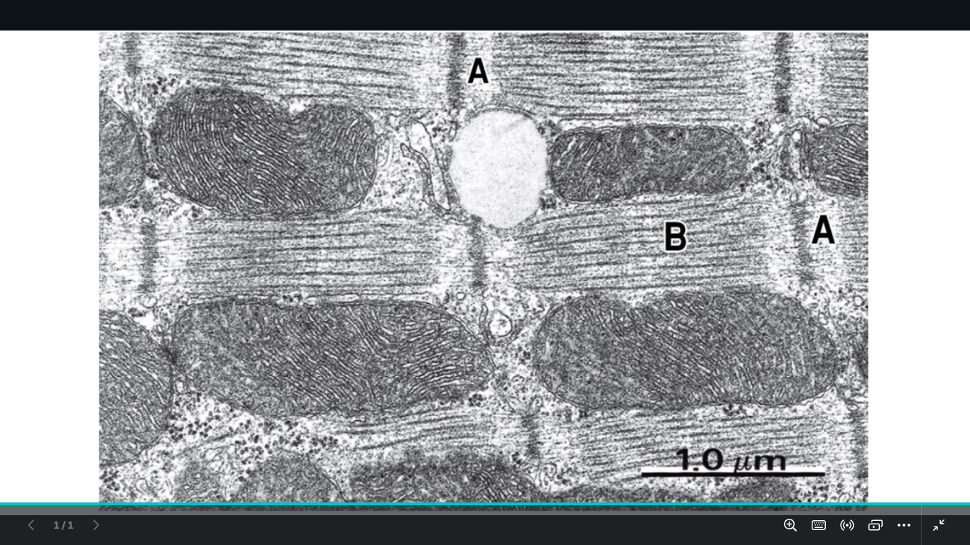 <p>identify a and b and what is under b name it c</p>
