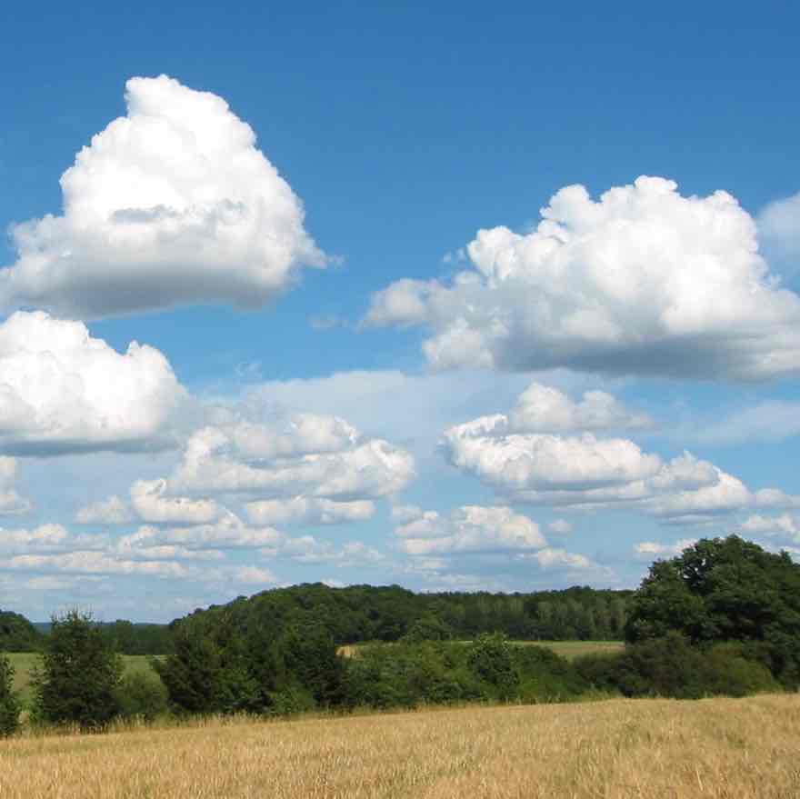 <p>Puffy, white clouds, tend to have flat bottom, indicates fair weathered</p>