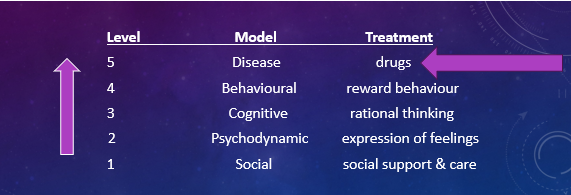 <p>Biological, psychological, and social levels interact to influence mental functioning</p>