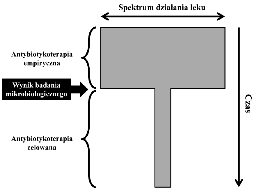 <p>Zmiana leku na środek o możliwie najwęższym zakresie działania (z uwzględnieniem najmniejszej toksyczności)</p>