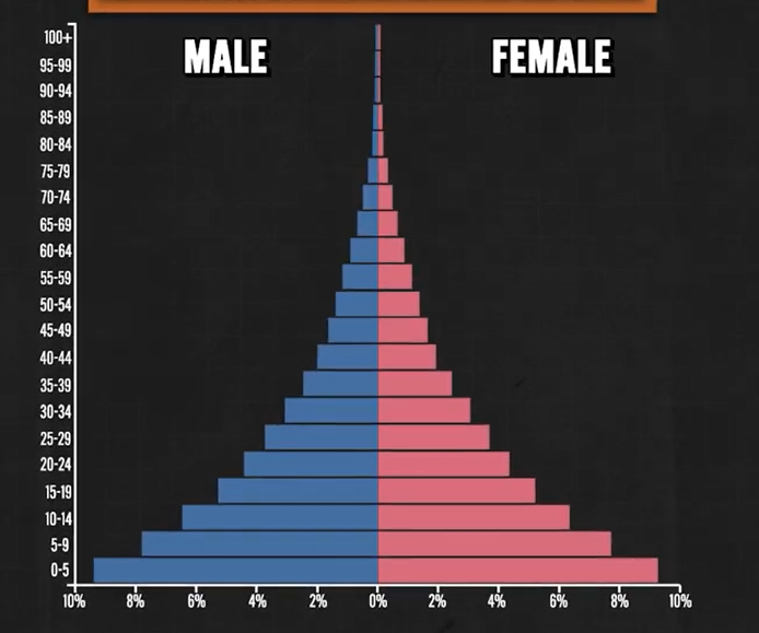 <p>shorter lifespan in top</p><p>high birth rate in bottom</p>