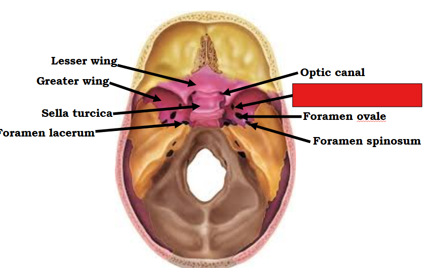 <p>Fill in the red box:</p>
