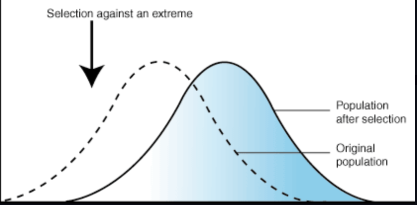 <p>bell curve shifts in one direction, either left or right, as one extreme trait is favored</p>