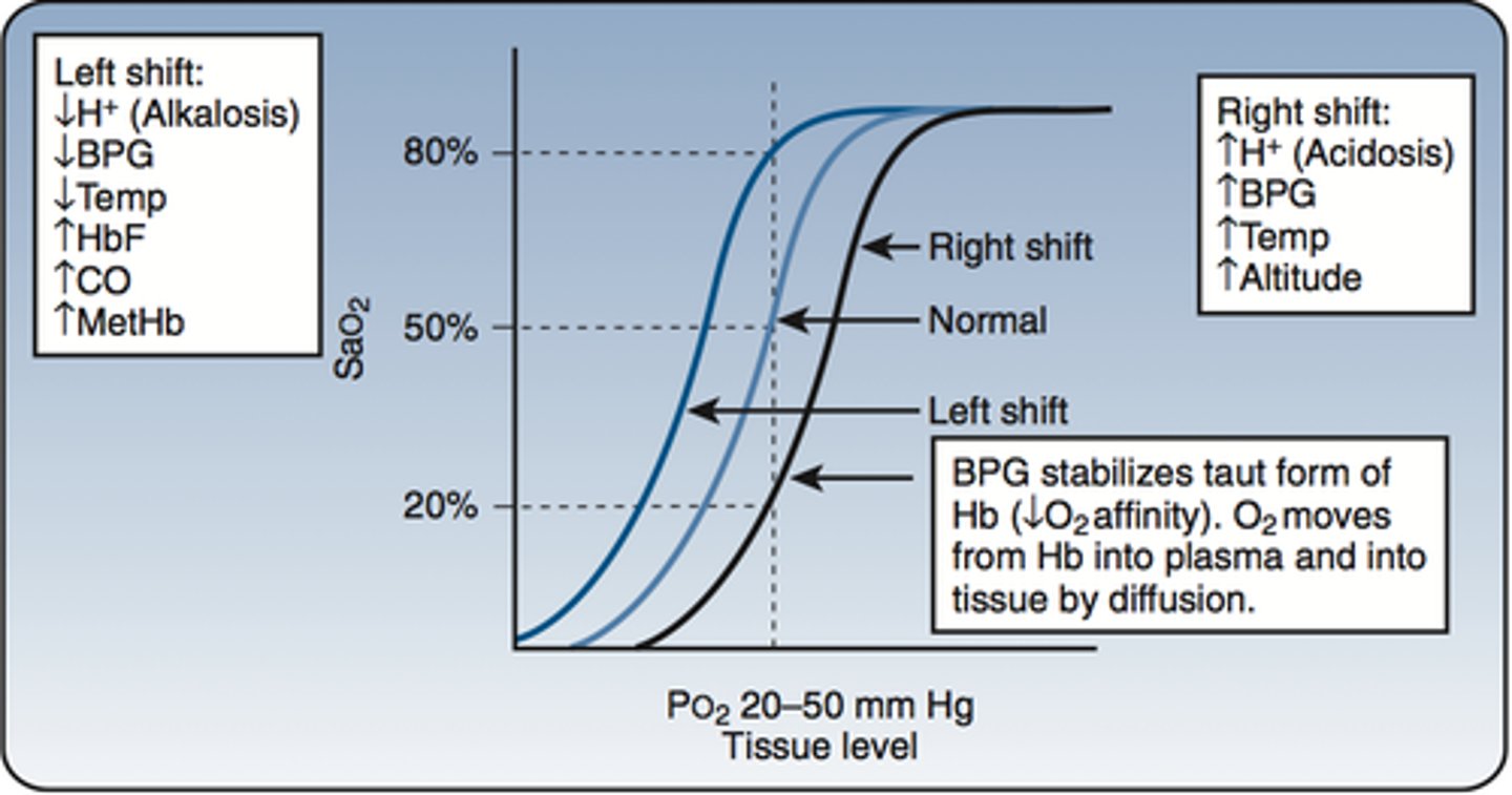 <p>The percentage of heme units in a hemoglobin molecule that contain bound oxygen</p>