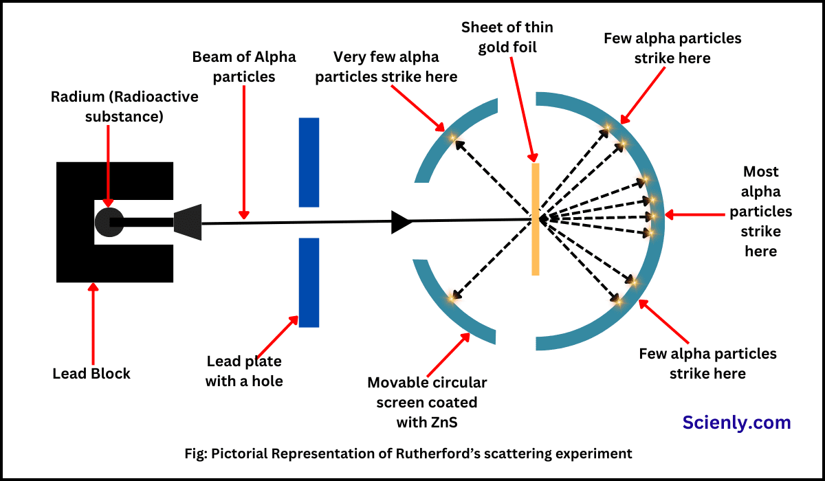 <ol><li><p>Most alpha particles passed through the foil without deflection</p></li><li><p>1 in 2000 were deflected by small angles </p></li><li><p>About 1 in 10, 000 were deflected by angles greater than 90</p></li></ol><p></p>