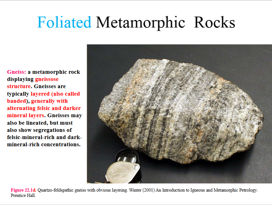 <ul><li><p>either a poorly-developed schistosity or segregated into layers by metamorphic processes</p></li><li><p>gneissos rocks are generally coarse grained</p></li></ul><p></p>