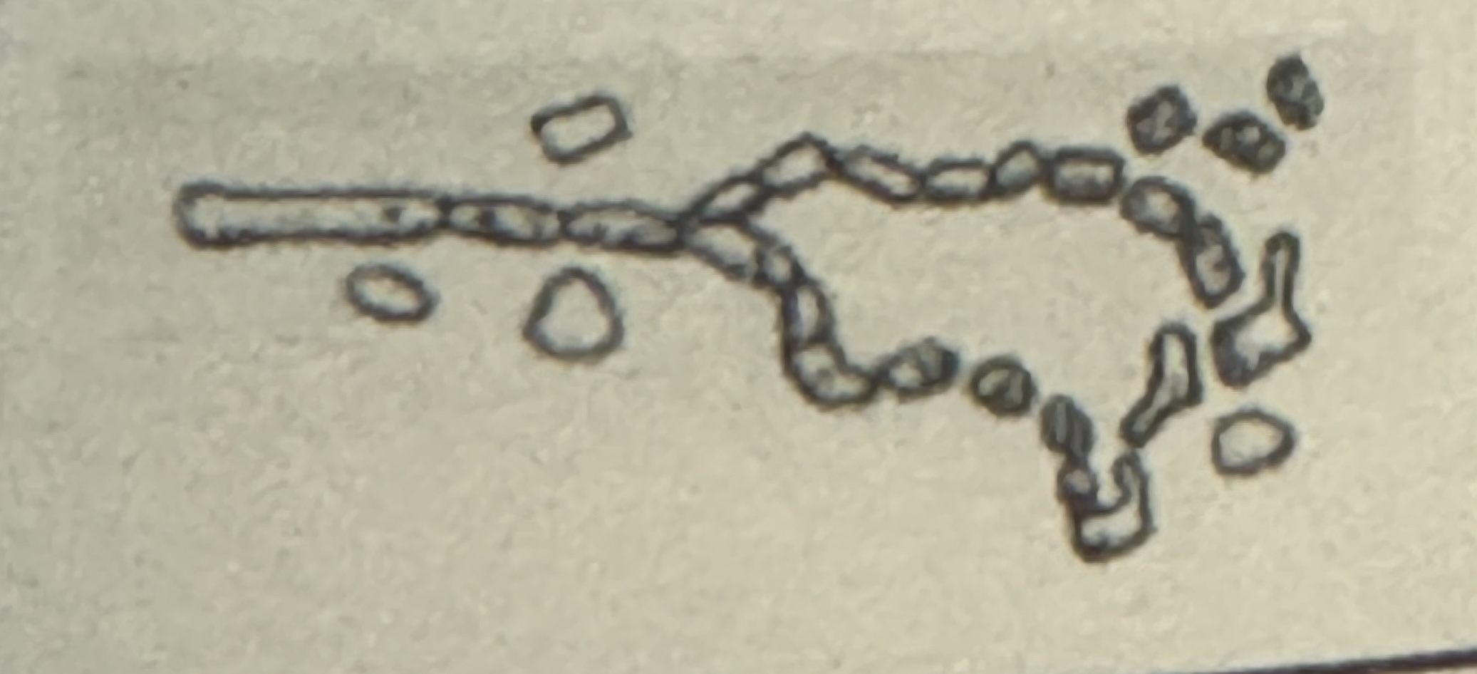 <p><span>what is illustrated</span></p>